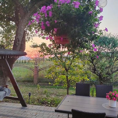 Apartamenty U Maksa Krzywcza Dış mekan fotoğraf