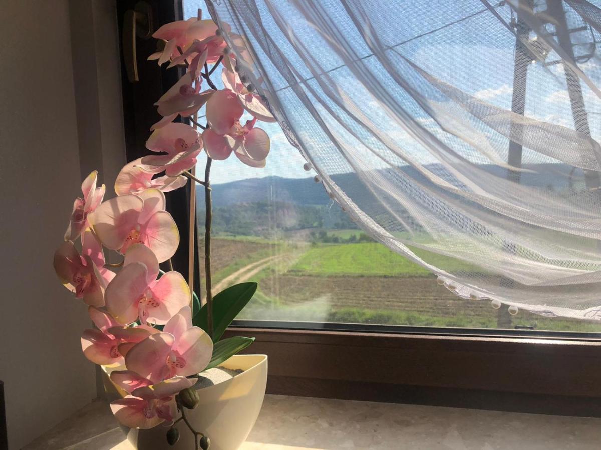 Apartamenty U Maksa Krzywcza Dış mekan fotoğraf