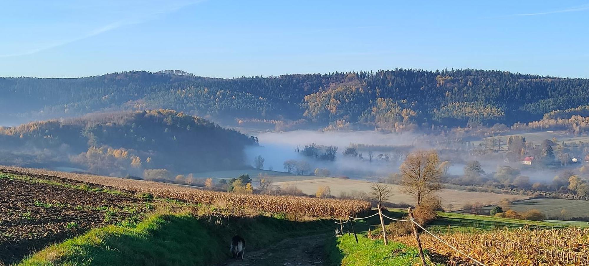 Apartamenty U Maksa Krzywcza Oda fotoğraf