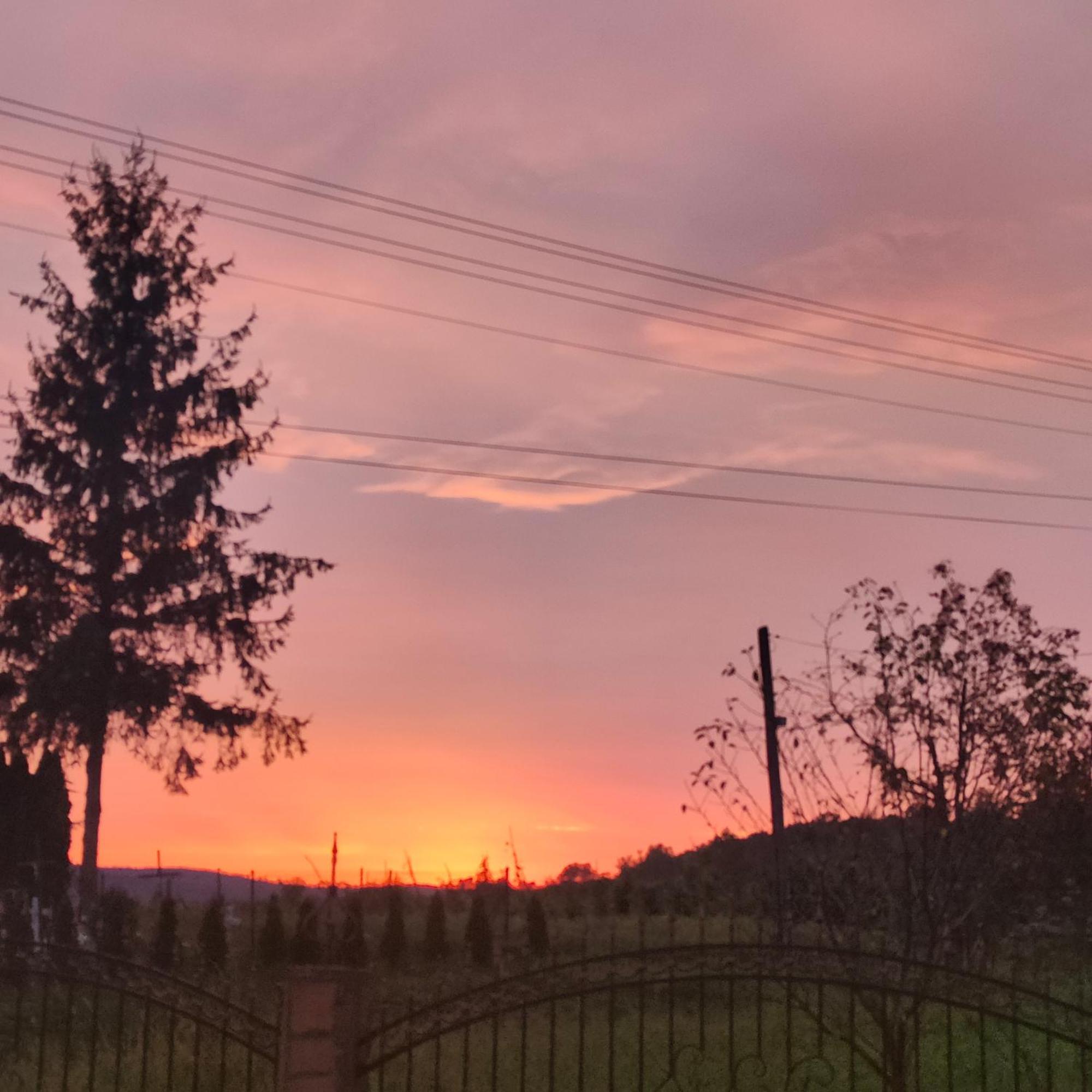 Apartamenty U Maksa Krzywcza Dış mekan fotoğraf