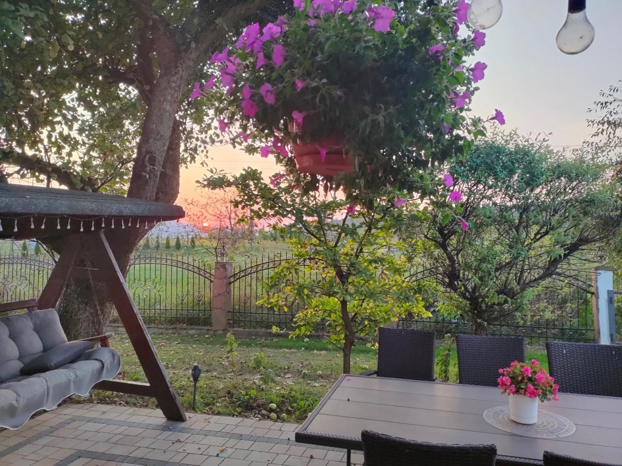 Apartamenty U Maksa Krzywcza Dış mekan fotoğraf